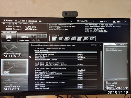 img04_amd_cbs_advanced_options.2
