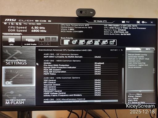 img04_amd_cbs_advanced_options.1